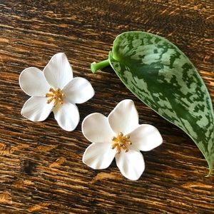 Beautiful flowers pierced earrings with gold like detail in center.